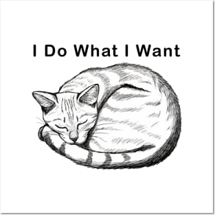 Cat i do what i want Posters and Art